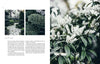 A photo of a NORDIC GARDEN DESIGN garden with white flowers and bushes, branded by COZY.