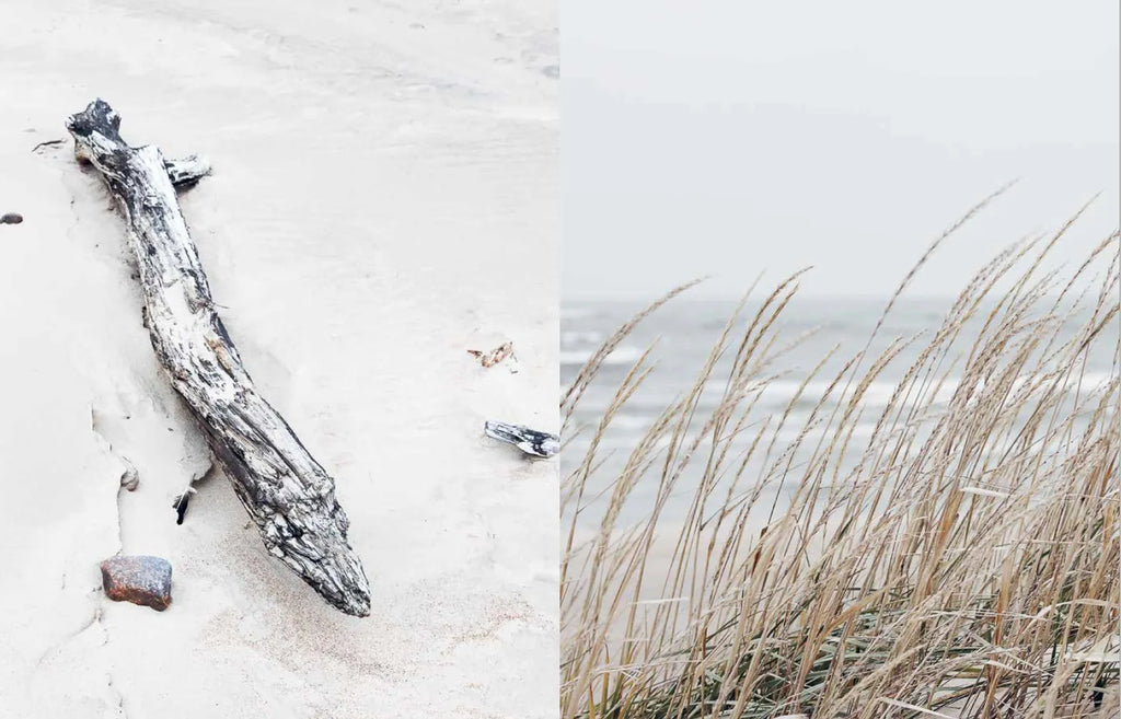 A photo of a FUNKTIO beach with COZY driftwood and sand.