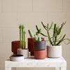 Four porcelain plant pots by Aaron Probyn sit on a marble table at Gestalt Haus.