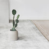 A Kristina Dam Studio potted cactus sits on a white floor, showcasing the characteristic elegance of Gestalt Haus.