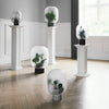 Four NEBL FLOWERPOTs with plants on them in a room by GEJST, creating a Gestalt Haus ambiance.
