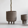A pair of grey planters with a small tree in them from KRISTINA DAM STUDIO.