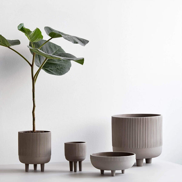 A collection of Kristina Dam Studio grey STUDIO BOWL pots with a plant in them, showcased at Gestalt Haus.