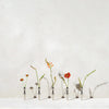 Five STOFF NAGEL vases with flowers in them on a white table.